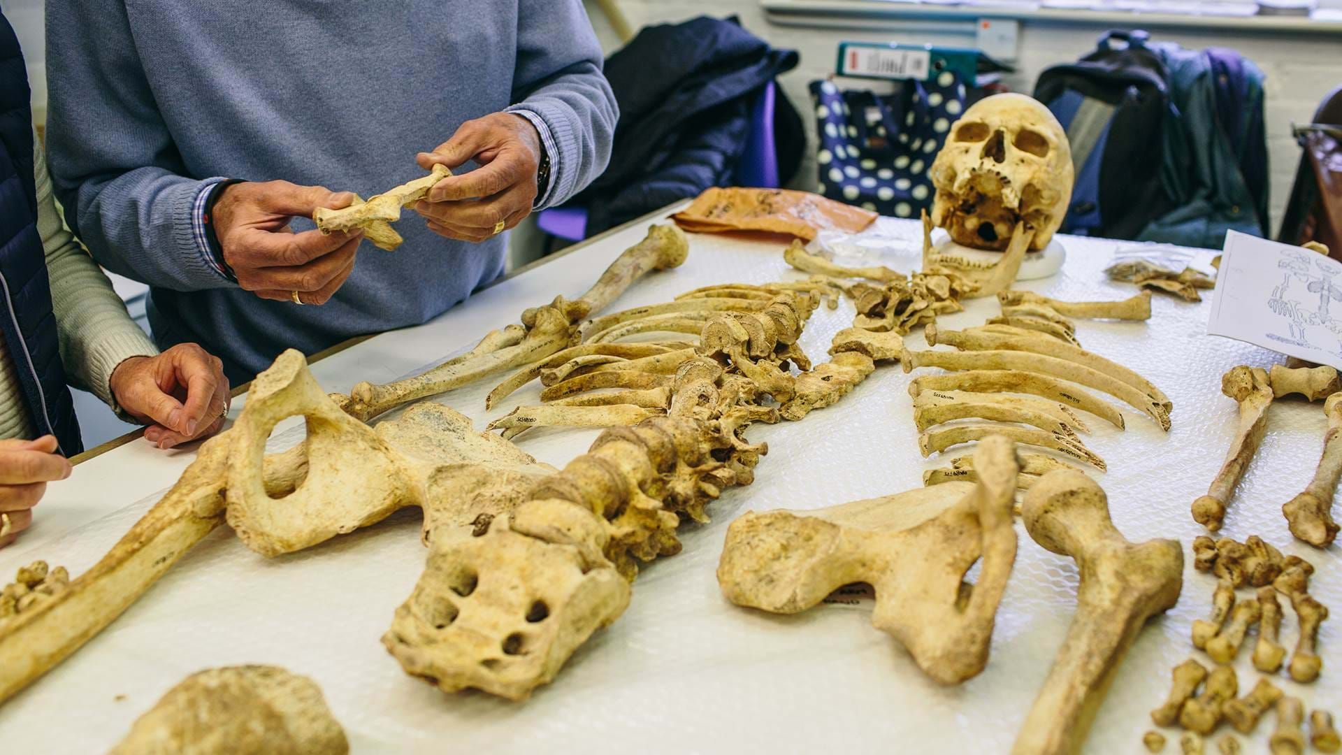 Human Osteoarchaeology at Winchester