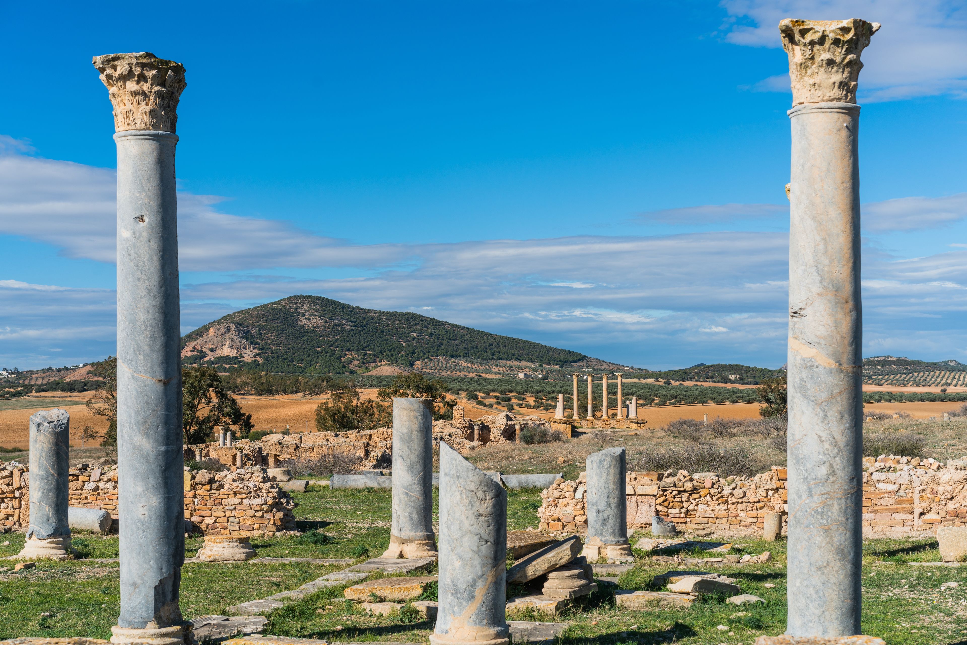 Carthage & Roman Tunisia at New Year