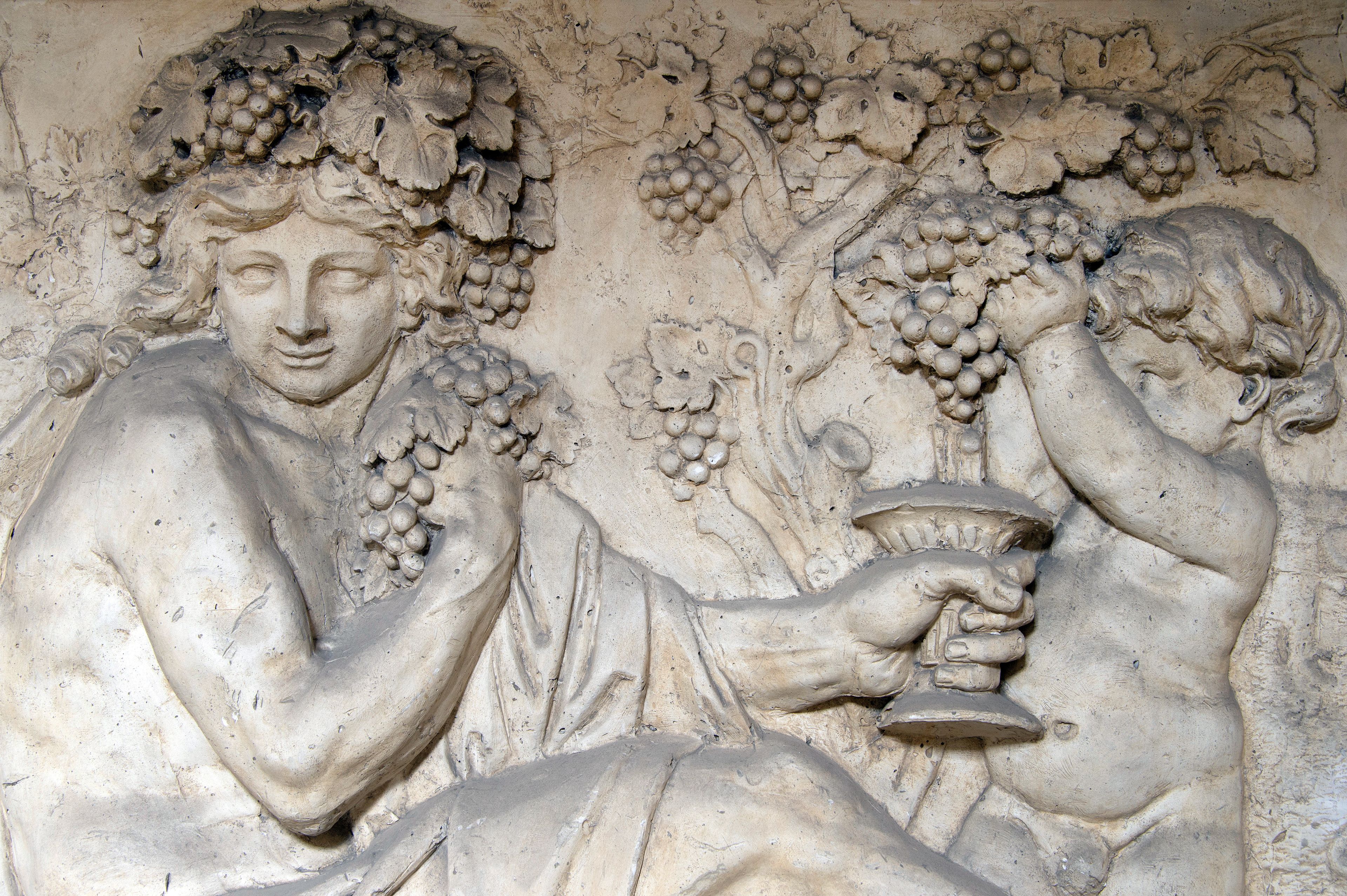 IMAGE ALT