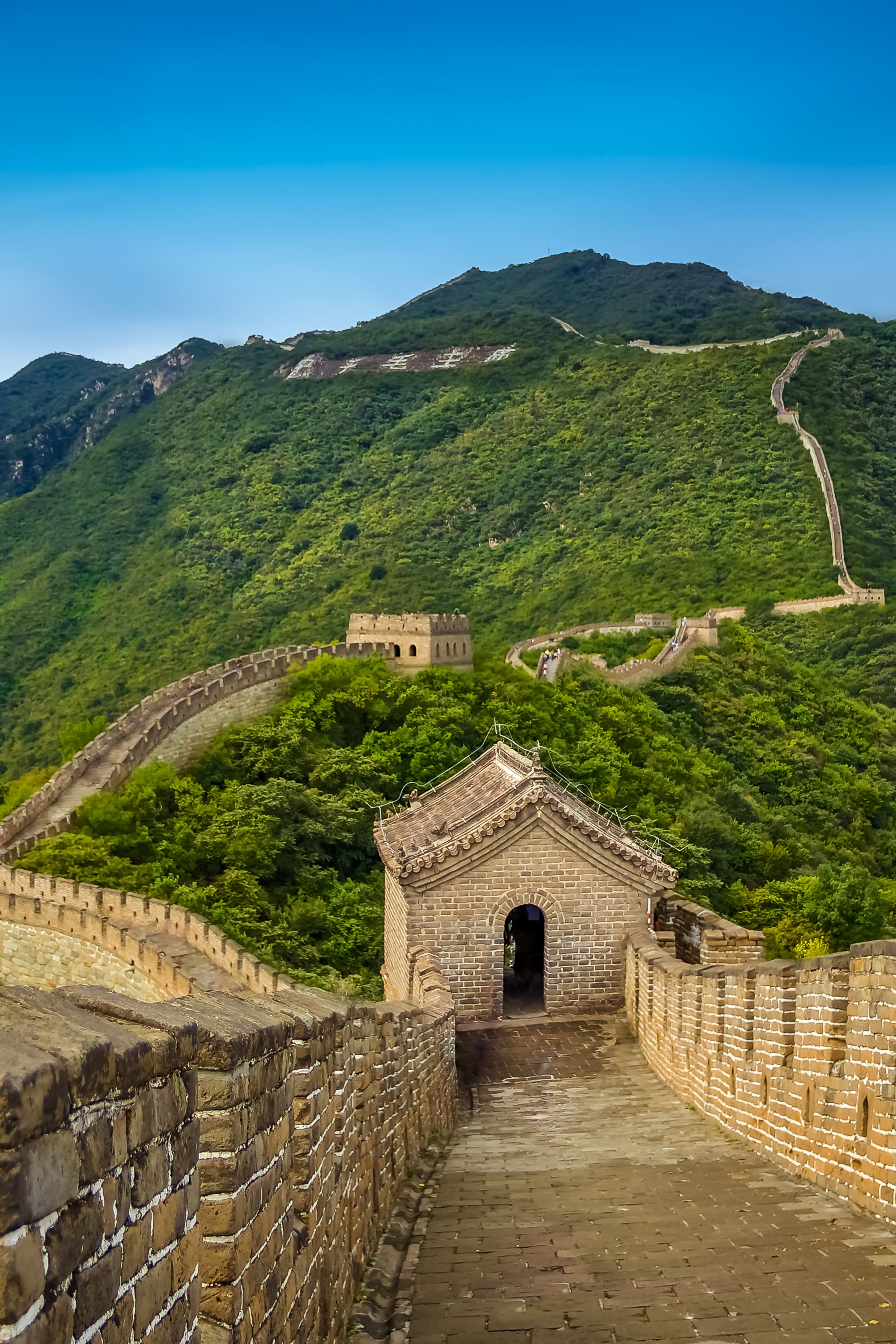 BOOK NOW AND SAVE 10% ON 2026 TOURS!