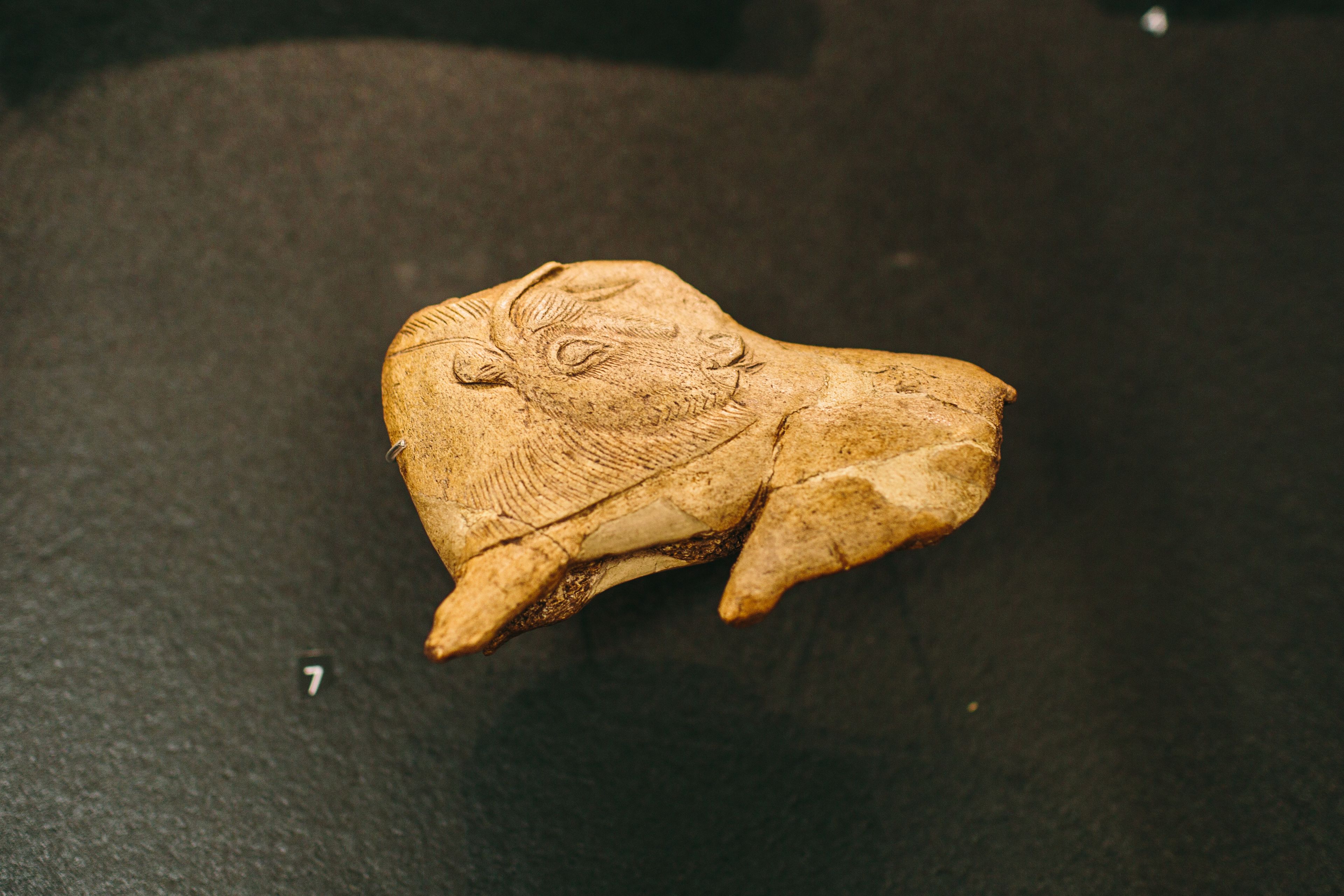 Cave Art of the Dordogne