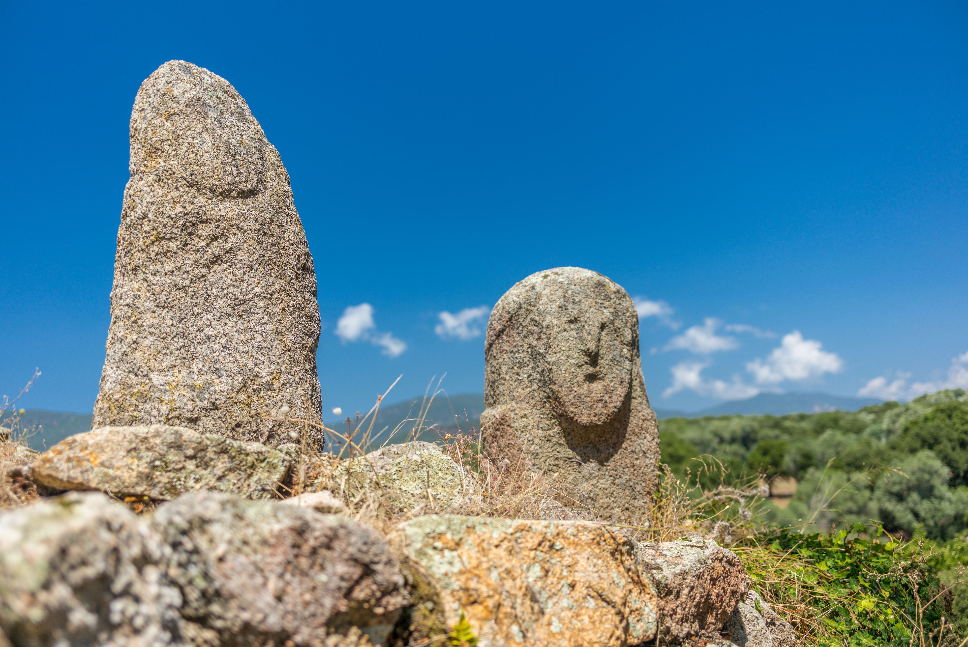 The Archaeology of Corsica