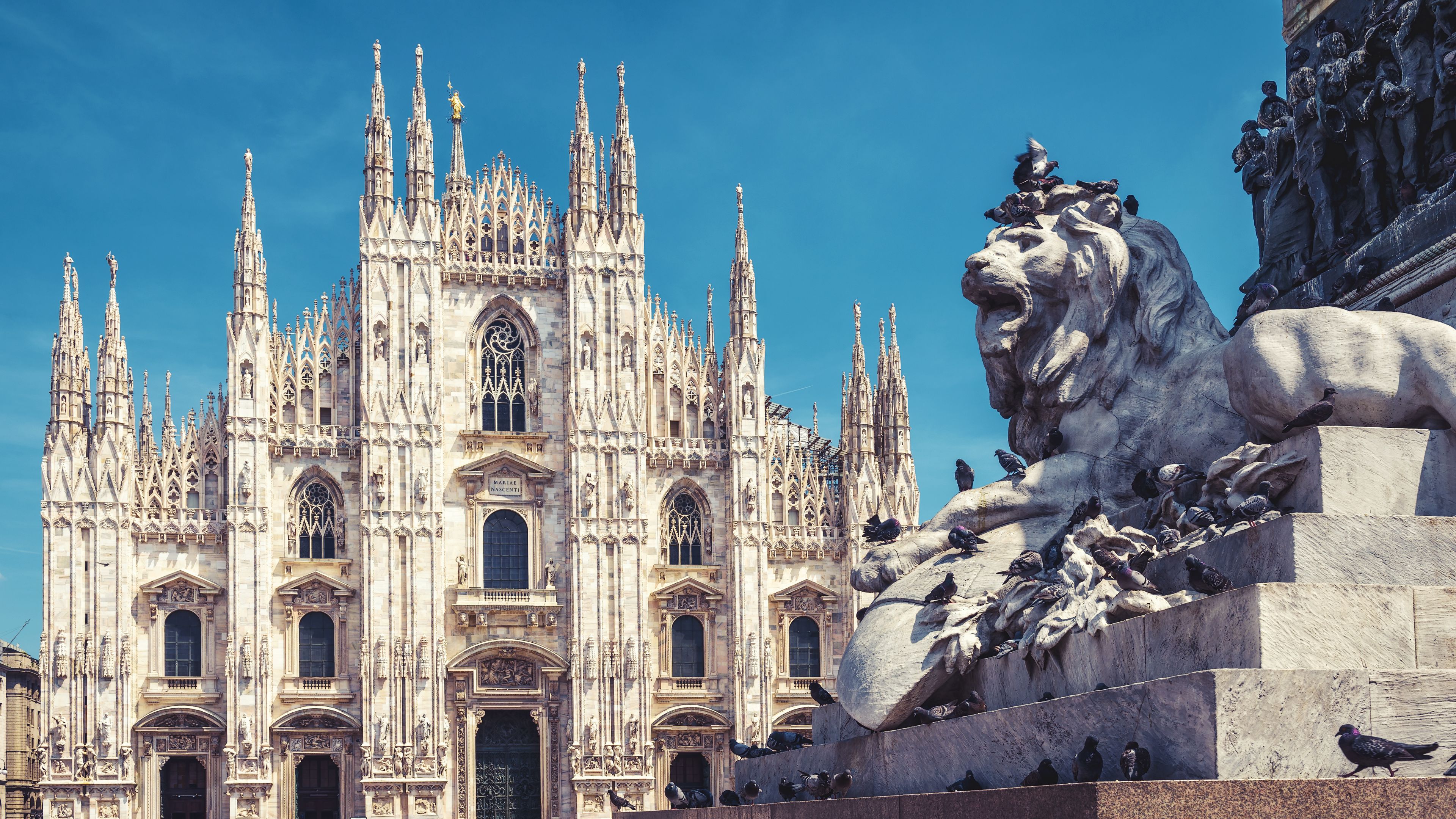 Milan & Pavia