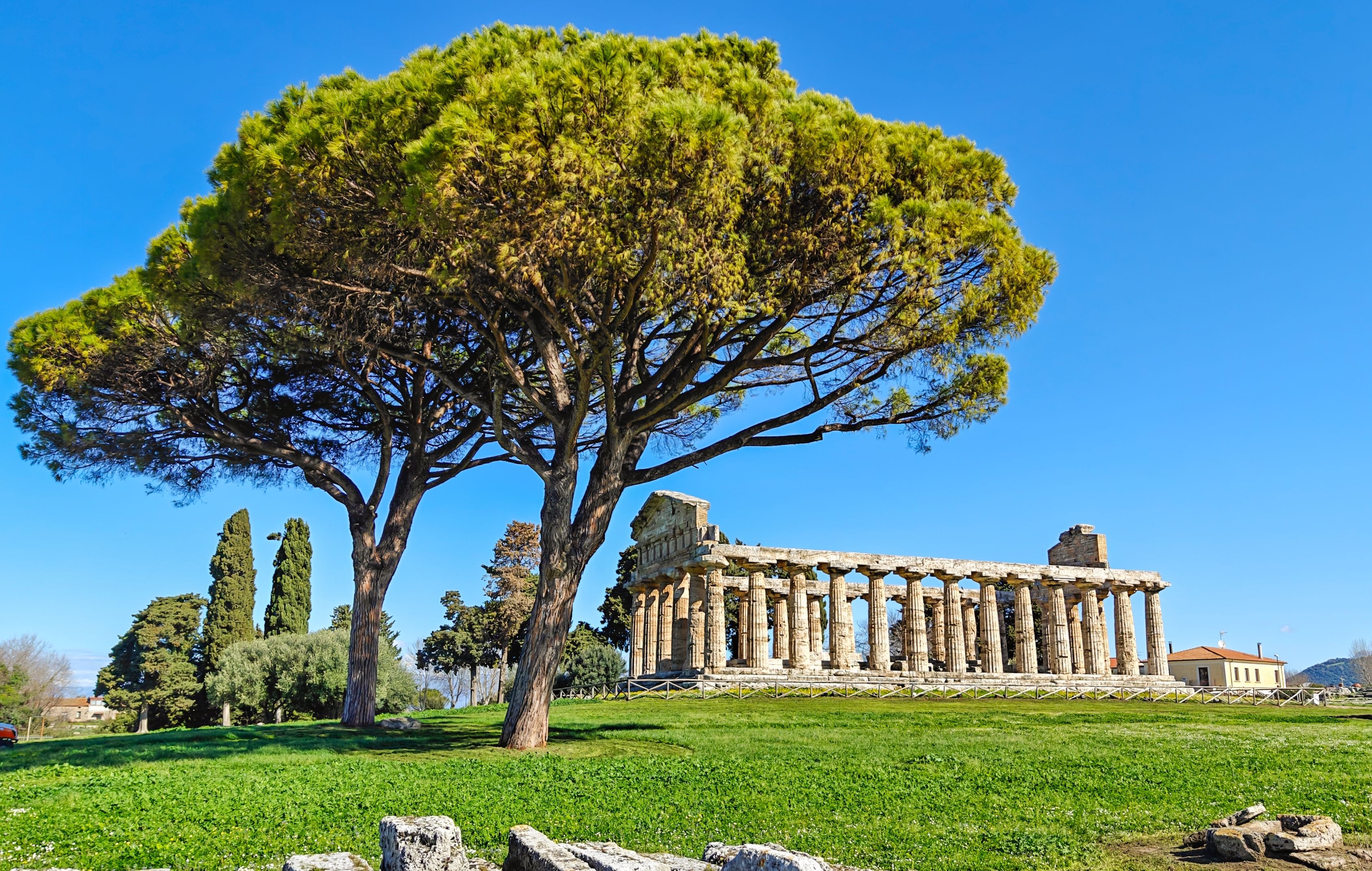 Essential Pompeii