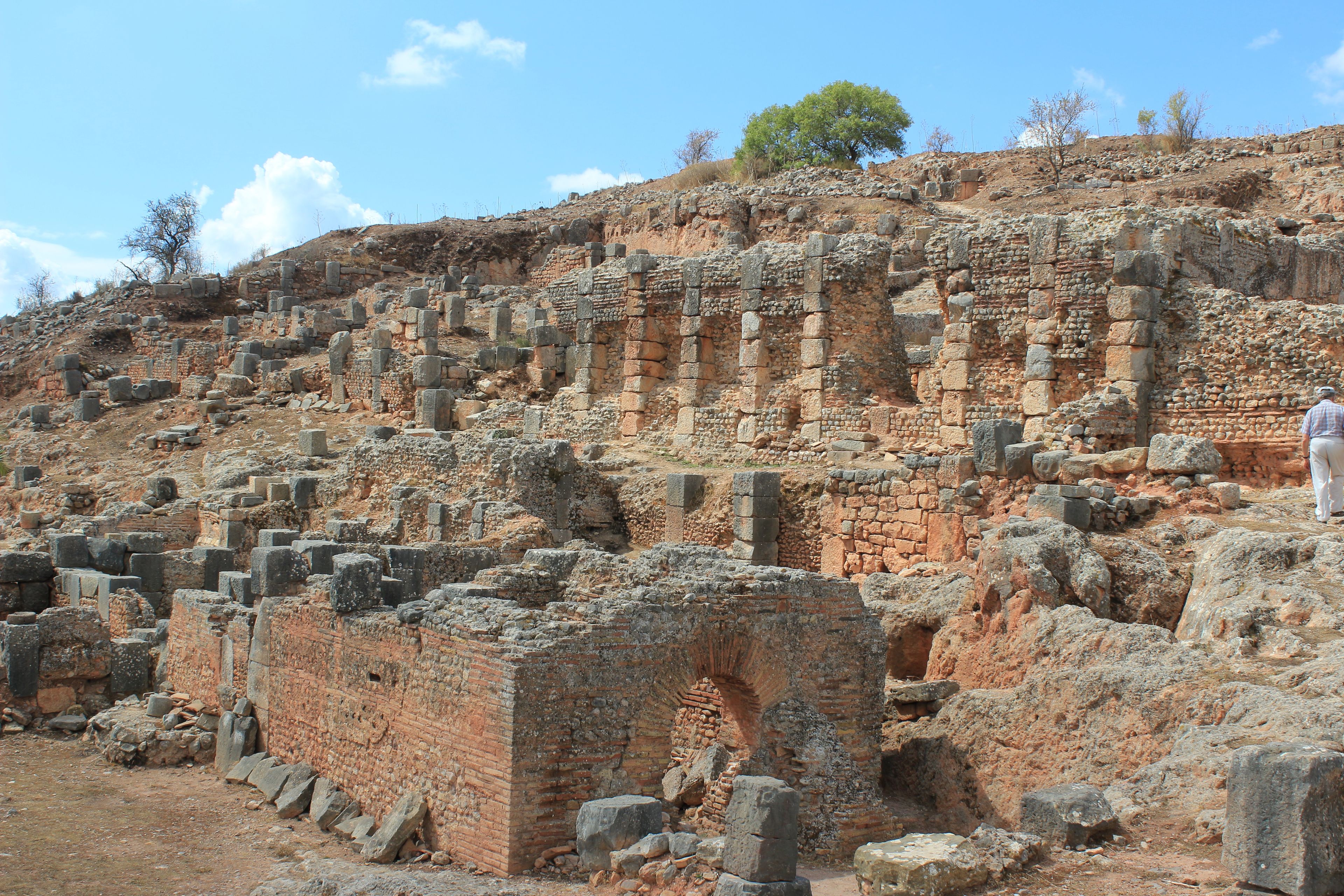 IMAGE ALT