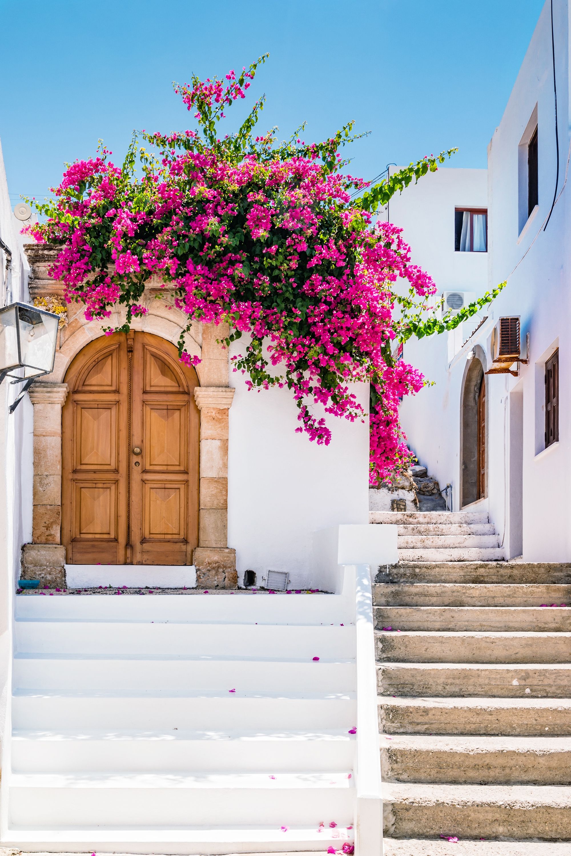 White buildings with bougainvillea flowers in Lindos on Rhodes island, Greece.